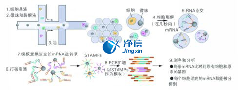 中國(guó)人自己的單細(xì)胞測(cè)序儀來(lái)了！,Drop-seq