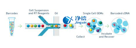 中國(guó)人自己的單細(xì)胞測(cè)序儀來(lái)了！,Drop-seq